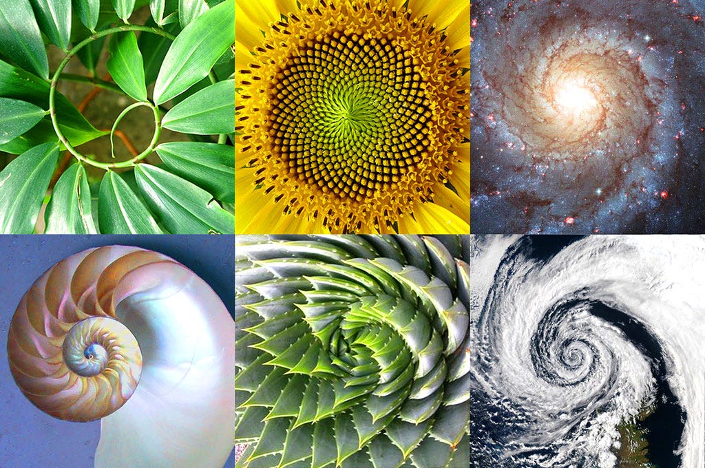 The Golden Mean Spiral and How it Can Enhance Your Meditation Practice